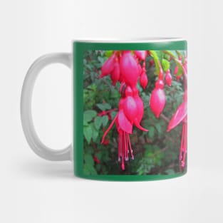 Fuchsia Mug